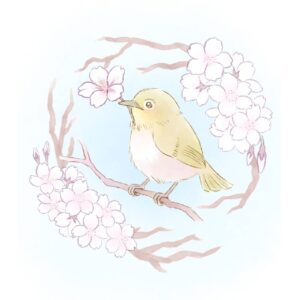 メジロ