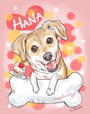 ペット　誕生日